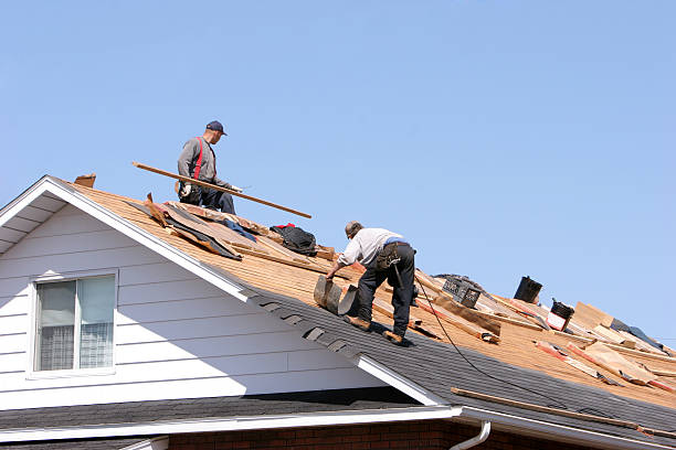 Best Steel Roofing  in Belleair, FL